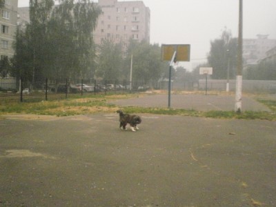 надо убегать, потому что сейчас поймают и бяку отнимут...